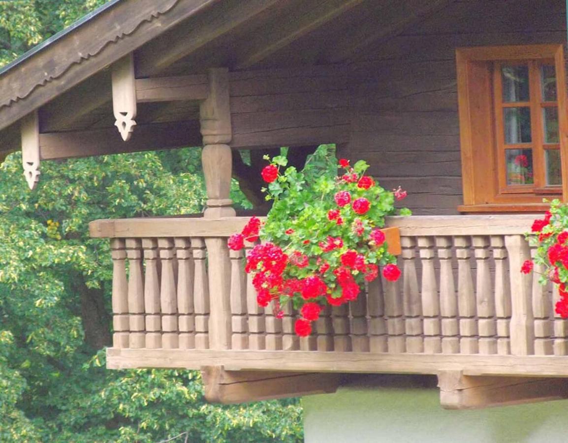 Ferienpension Posthof Waldmünchen Εξωτερικό φωτογραφία