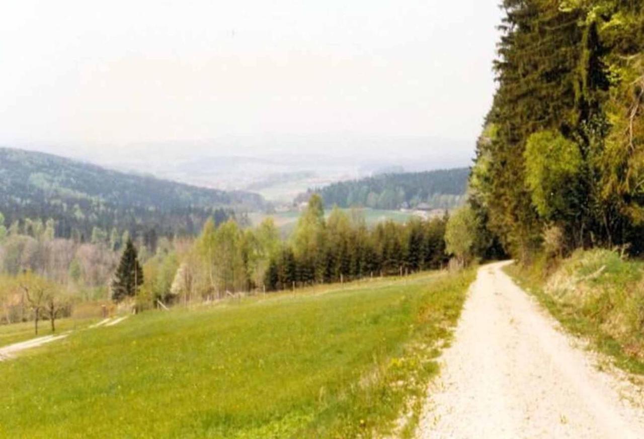 Ferienpension Posthof Waldmünchen Εξωτερικό φωτογραφία